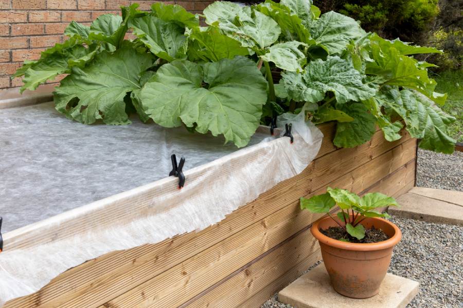 Raised Beds and Planters